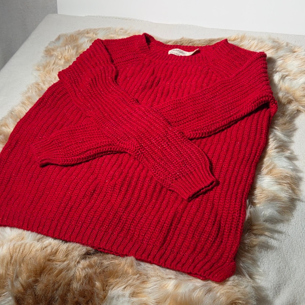 Faded Glory Womens Red Metallic Knit Sweater Long Sleeve Crew Neck Ribbed Size L